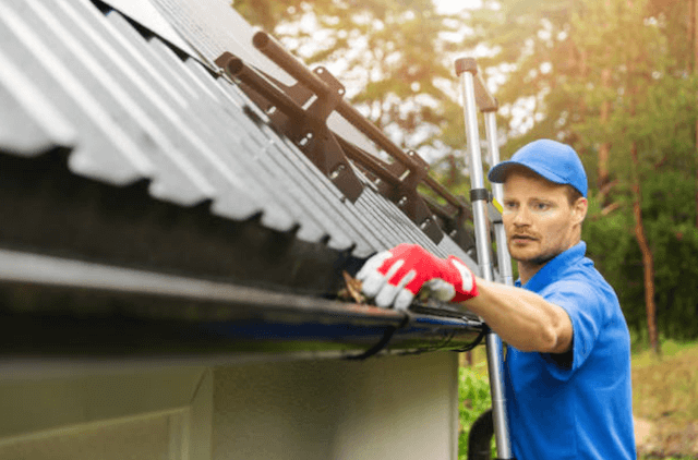 mount prospect gutter service